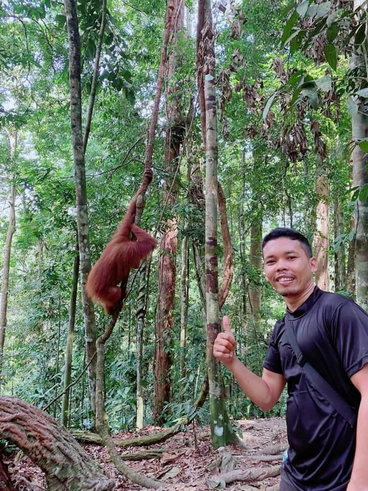 Pongo Guest House & Jungle Trekking Bukit Lawang Kültér fotó