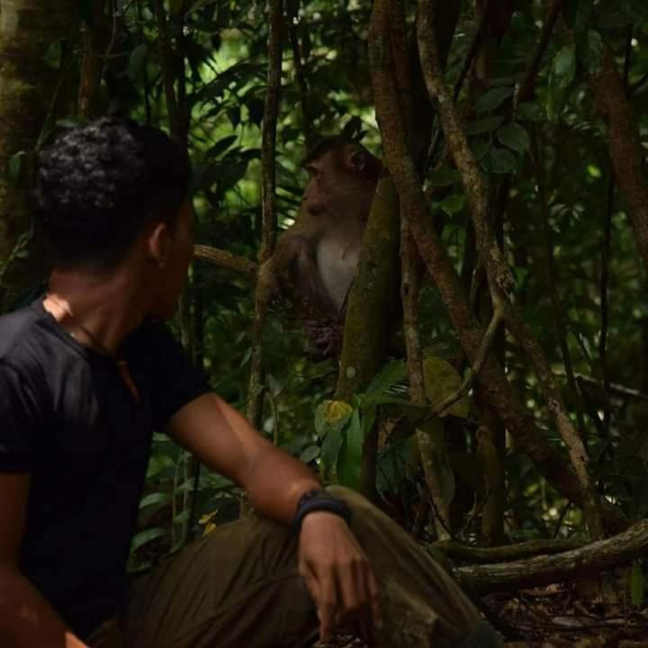 Pongo Guest House & Jungle Trekking Bukit Lawang Kültér fotó