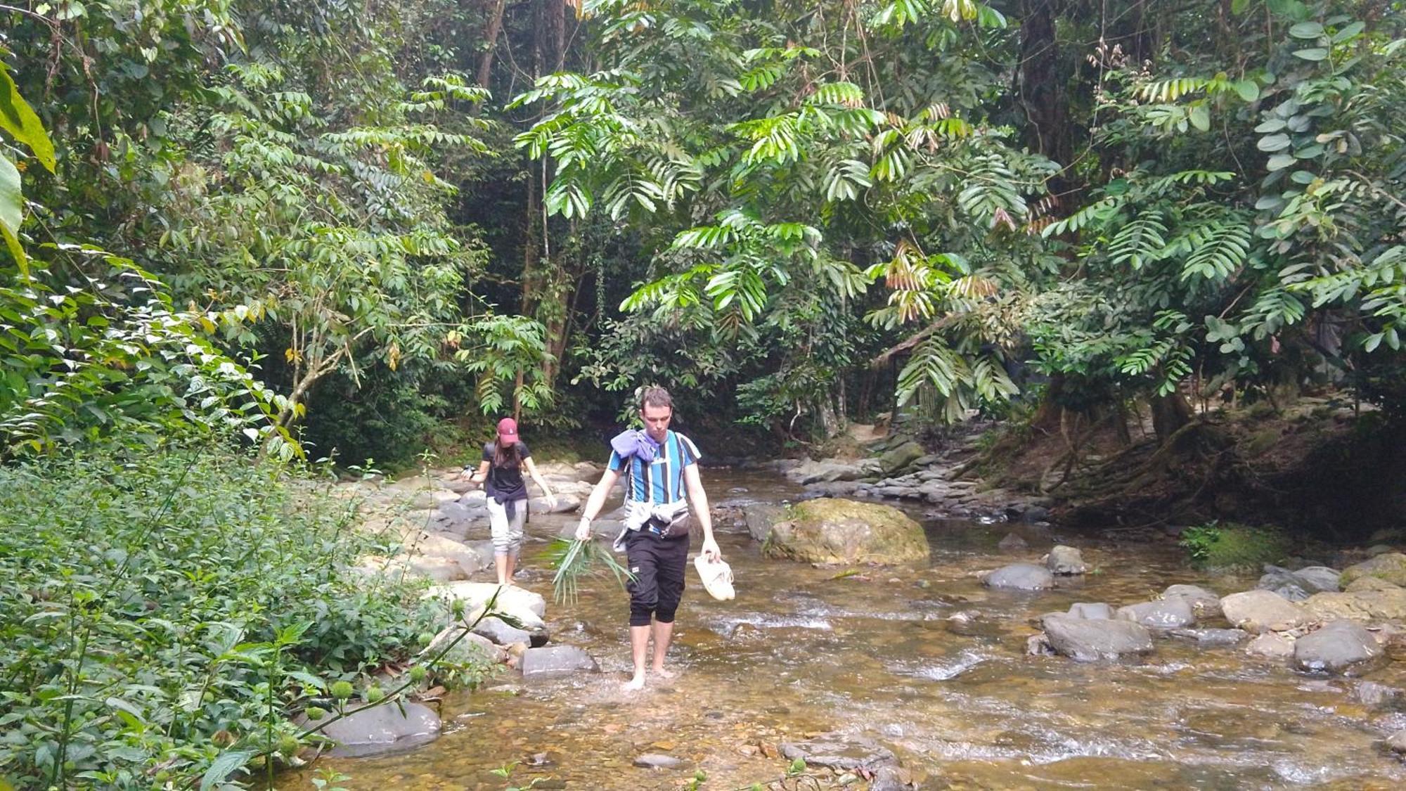 Pongo Guest House & Jungle Trekking Bukit Lawang Kültér fotó
